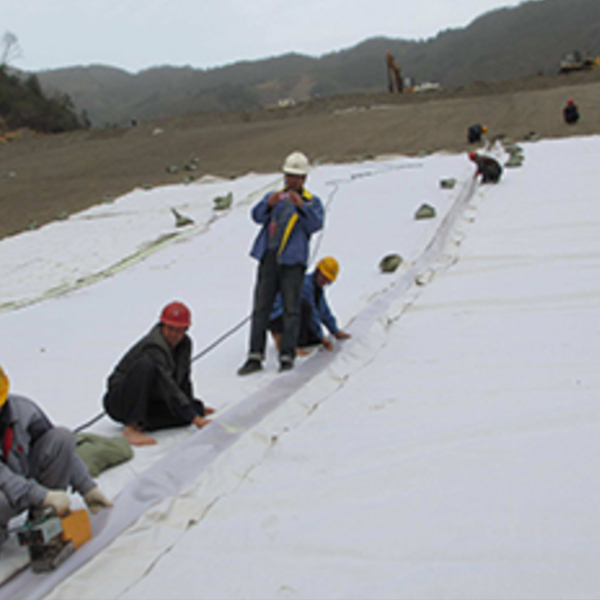 Non Woven Geotextile Fabric Project