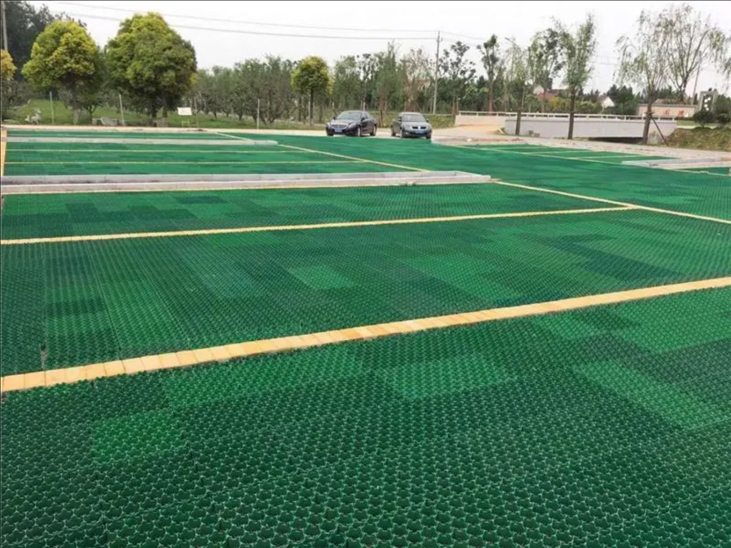 Grass paver grid